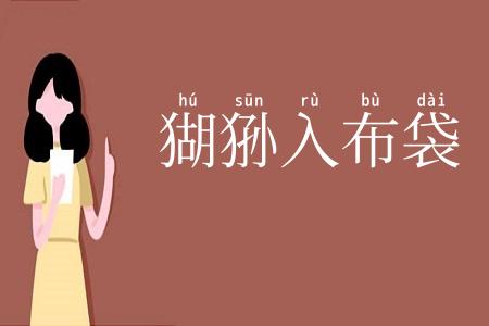 猢狲入布袋