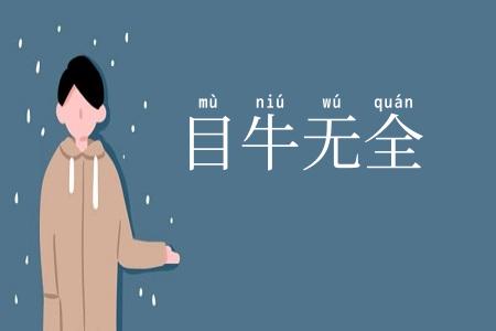 目牛无全