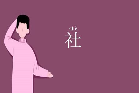 社