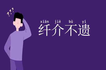纤介不遗