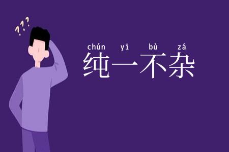 纯一不杂