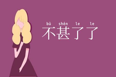 不甚了了