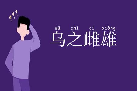 乌之雌雄