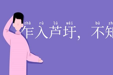 乍入芦圩，不知深浅