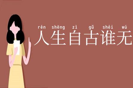 人生自古谁无死