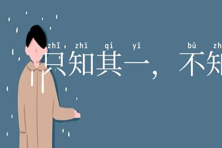 只知其一，不知其二