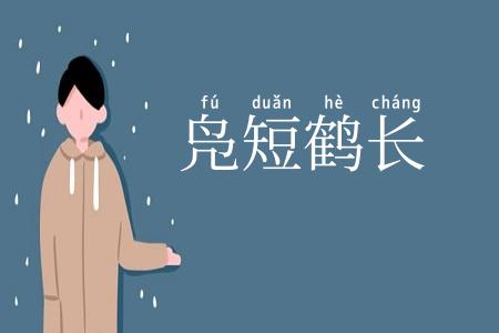 凫短鹤长