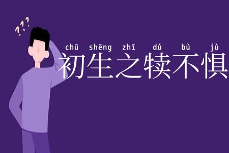 初生之犊不惧虎