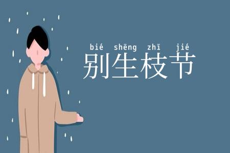 别生枝节