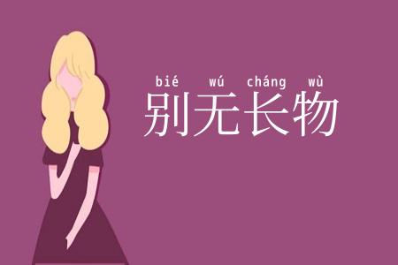 别无长物