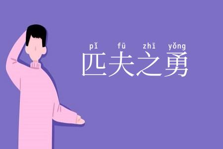 匹夫之勇