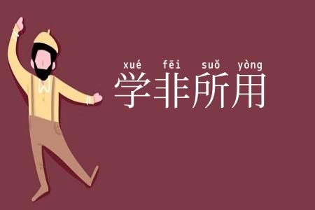 学非所用