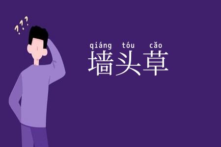 墙头草