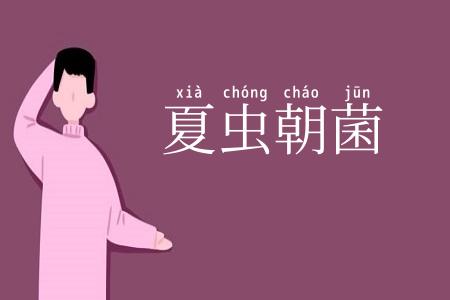 夏虫朝菌