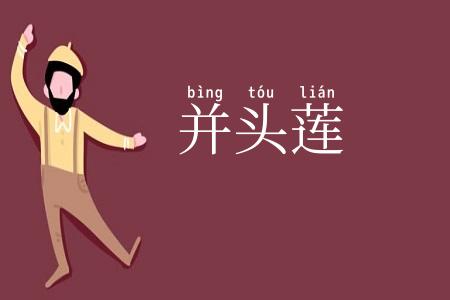 并头莲