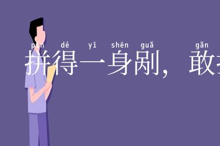 拼得一身剐，敢把皇帝拉下马