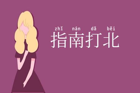 指南打北