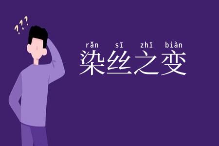 染丝之变