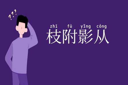 枝附影从