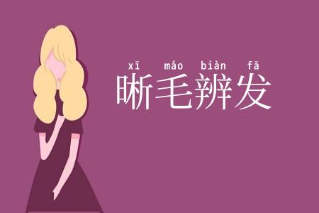 晰毛辨发