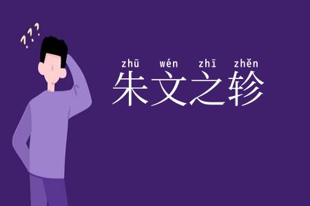 朱文之轸