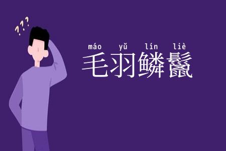 毛羽鳞鬣