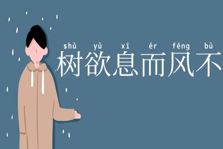 树欲息而风不停