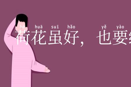 荷花虽好,也要绿叶扶持