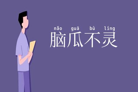 脑瓜不灵