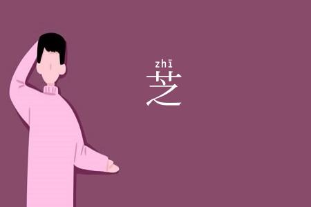 芝