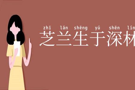 芝兰生于深林