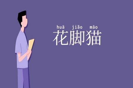花脚猫