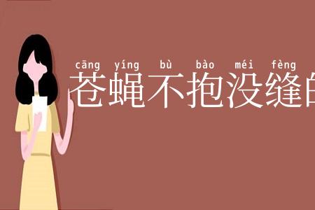 苍蝇不抱没缝的蛋