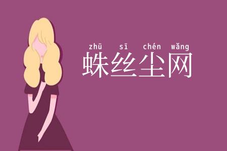 蛛丝尘网