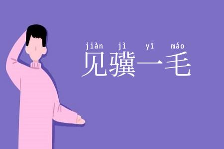 见骥一毛