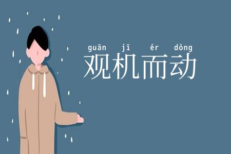 观机而动