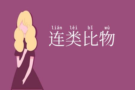 连类比物