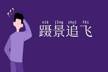 蹑景追飞