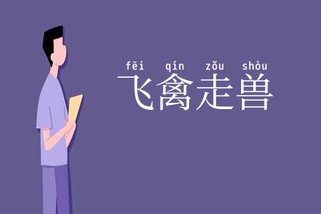 飞禽走兽