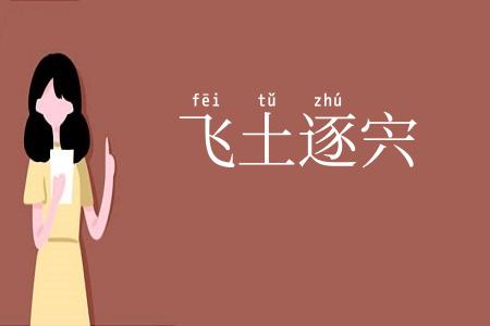 飞土逐宍