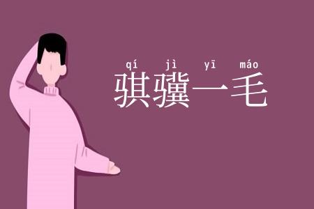 骐骥一毛