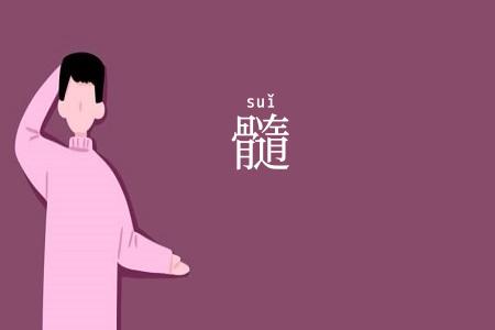 髓