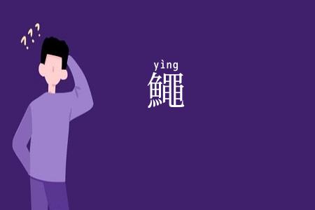 鱦
