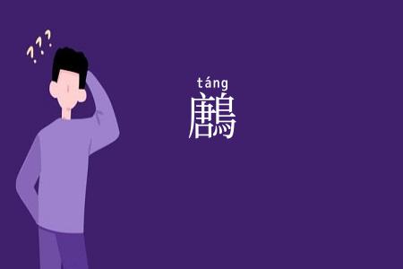 鶶