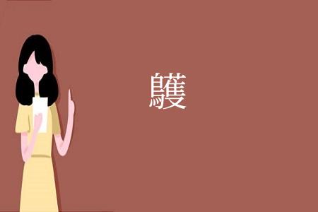 鸌