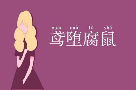 鸢堕腐鼠