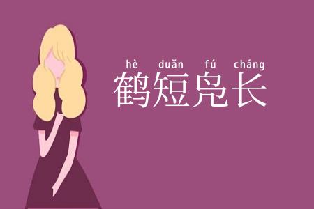鹤短凫长