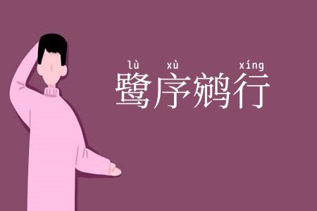 鹭序鹓行